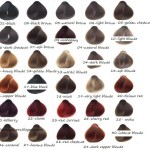Haarfarben 2016 - Eos - Indola - L'Oréal - Label M - American Crew