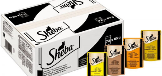 Großhändler für Sheba Katzenfutter Selection in Sauce