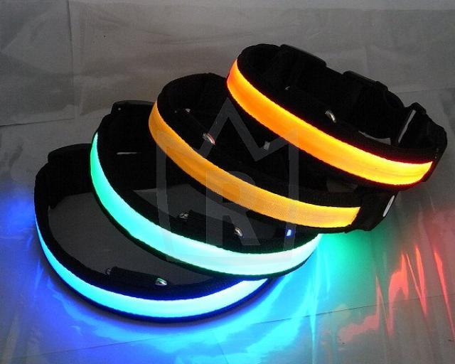 Hundehalsband LED 4 Farben