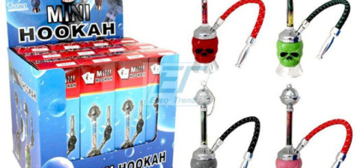 Wasserpfeife Mini Shisha SKULL ca. 21cm