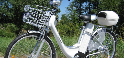 Elektrofahrrad 26" E-Bike 250 W Pedelec City Bike Alu Rad