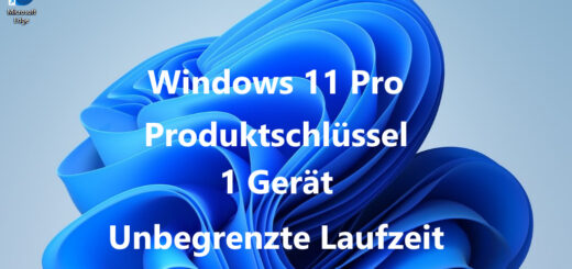Microsoft Windows 11 Pro OEM Produktschlüssel / Key Onlineaktivierbar