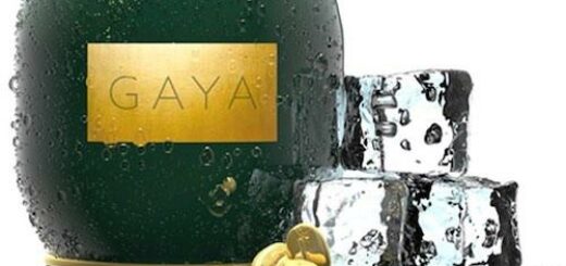 SONDERPOSTEN  „Uniquw Design“ – Gaya Gold Coffee