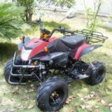 50 cc ATV mit Strassenzulassung